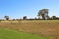 Property photo of 3 Craven Court Sandhurst VIC 3977
