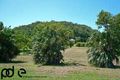 Property photo of 17 Orchid Avenue Rocky Point QLD 4873