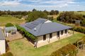Property photo of 193 Nine Mile Road Willyaroo SA 5255
