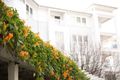 Property photo of 21/50-58 Village Drive Breakfast Point NSW 2137