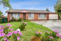 Property photo of 3 Teal Court Mornington VIC 3931