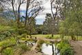 Property photo of 130 Henderson Road Wentworth Falls NSW 2782