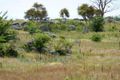 Property photo of 25 O'Brien Avenue Berridale NSW 2628