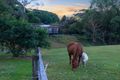 Property photo of 795 Tallebudgera Creek Road Tallebudgera Valley QLD 4228