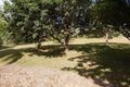 Property photo of 150 Dexter Road Gordonvale QLD 4865