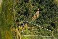 Property photo of 1263 Conway Road Conway QLD 4800