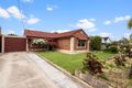 Property photo of 8 Veronica Crescent Lockleys SA 5032