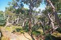 Property photo of 6 Merran Grove Fairhaven VIC 3231