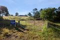 Property photo of 24 Oak Street Wyndham NSW 2550