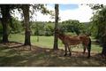 Property photo of 11 Simba Road West Woombye QLD 4559