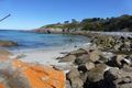Property photo of 21174 Tasman Highway Chain Of Lagoons TAS 7215