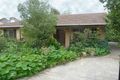 Property photo of 11 Macpherson Street Clapham SA 5062
