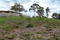 Property photo of 23 Gail Street River Heads QLD 4655