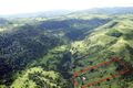 Property photo of 278 Flying Fox Road Flying Fox QLD 4275