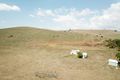 Property photo of 356 Swallows Nest Road Dog Rocks NSW 2795