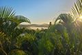 Property photo of 19 Caitlin Place Bli Bli QLD 4560