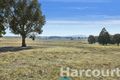 Property photo of 1396 Addington Road Ascot VIC 3364
