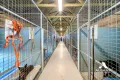 Property photo of 1387 Lower Denmark Road Elleker WA 6330