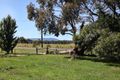 Property photo of 25 Three Chain Road Carlsruhe VIC 3442