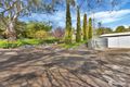 Property photo of 113 Murray Street Angaston SA 5353