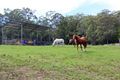 Property photo of 389 Vermont Road Mulbring NSW 2323