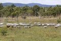 Property photo of 8854 Ayr Dalbeg Road Dalbeg QLD 4807