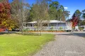 Property photo of 164 Burns Road Glenburn VIC 3717