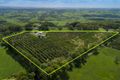 Property photo of 683 Dunoon Road Tullera NSW 2480