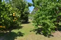 Property photo of 20 Kurrajong Road Bugaldie NSW 2357