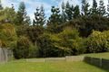 Property photo of 45 Petigrain Avenue Palmwoods QLD 4555