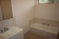 Property photo of 5/348 Dryburgh Street North Melbourne VIC 3051
