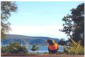Property photo of 95 George Street Avalon Beach NSW 2107