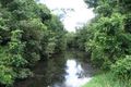 Property photo of 1 Wirin Court Imbil QLD 4570