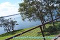 Property photo of 189 Watkins Road Wangi Wangi NSW 2267