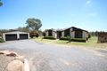 Property photo of 50 Hale Haven Drive Stanthorpe QLD 4380