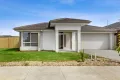 Property photo of 1 Kneebone Place Charlemont VIC 3217