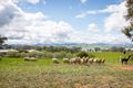 Property photo of 1064 Table Top Road Table Top NSW 2640