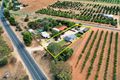 Property photo of 24 Middleton Road Loxton SA 5333