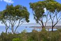 Property photo of 25 Second Avenue Anglesea VIC 3230