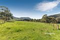 Property photo of 3423 Whittlesea-Yea Road Flowerdale VIC 3717