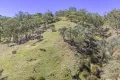 Property photo of 1000 Mount McDonald Road Wyangala NSW 2808
