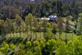 Property photo of 801 New England Gully Road Moonbi NSW 2353
