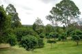 Property photo of 7 Shorthorn Crescent Kureelpa QLD 4560