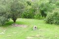 Property photo of 172 Newtown Road Bega NSW 2550
