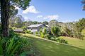 Property photo of 41 Uhlmanns Road Black Mountain QLD 4563