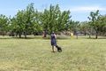 Property photo of 13 Lindberg Street Wilsonton QLD 4350