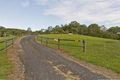 Property photo of 289 Ruffles Road Willow Vale QLD 4209