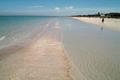 Property photo of 112 La Perouse Boulevard Bonbeach VIC 3196