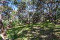 Property photo of 1 Ironbark Avenue Fairhaven VIC 3231