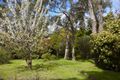 Property photo of 7 Scott Street Macedon VIC 3440